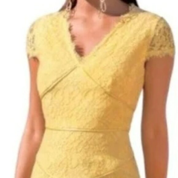 NWT Nue by Shani Trumpet Cap Sleeve Lace Midi Dress.  SZ 10 - Picture 2 of 9